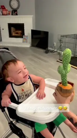 Babie reaction to Cactus toy #scarecam #prank #scarepranks #funny #funnyprank #scaring #jumpy #viral #fyp 