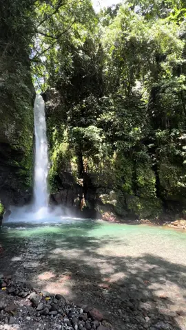 Tuasan Falls 🍃 #waterfalls #camiguin #camiguinisland #northernmindanao #islandlife #islandlife🌴 #travelphilippines #choosephilippines #naturevibes #naturetrip #waterfall #fyp #fypシ #fypシ゚viral 