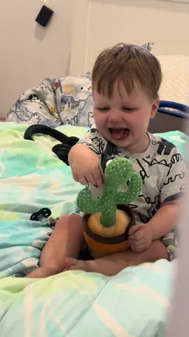 #baby #cactus #fyp #foryoupage #babygiggle #baby #funny #viral
