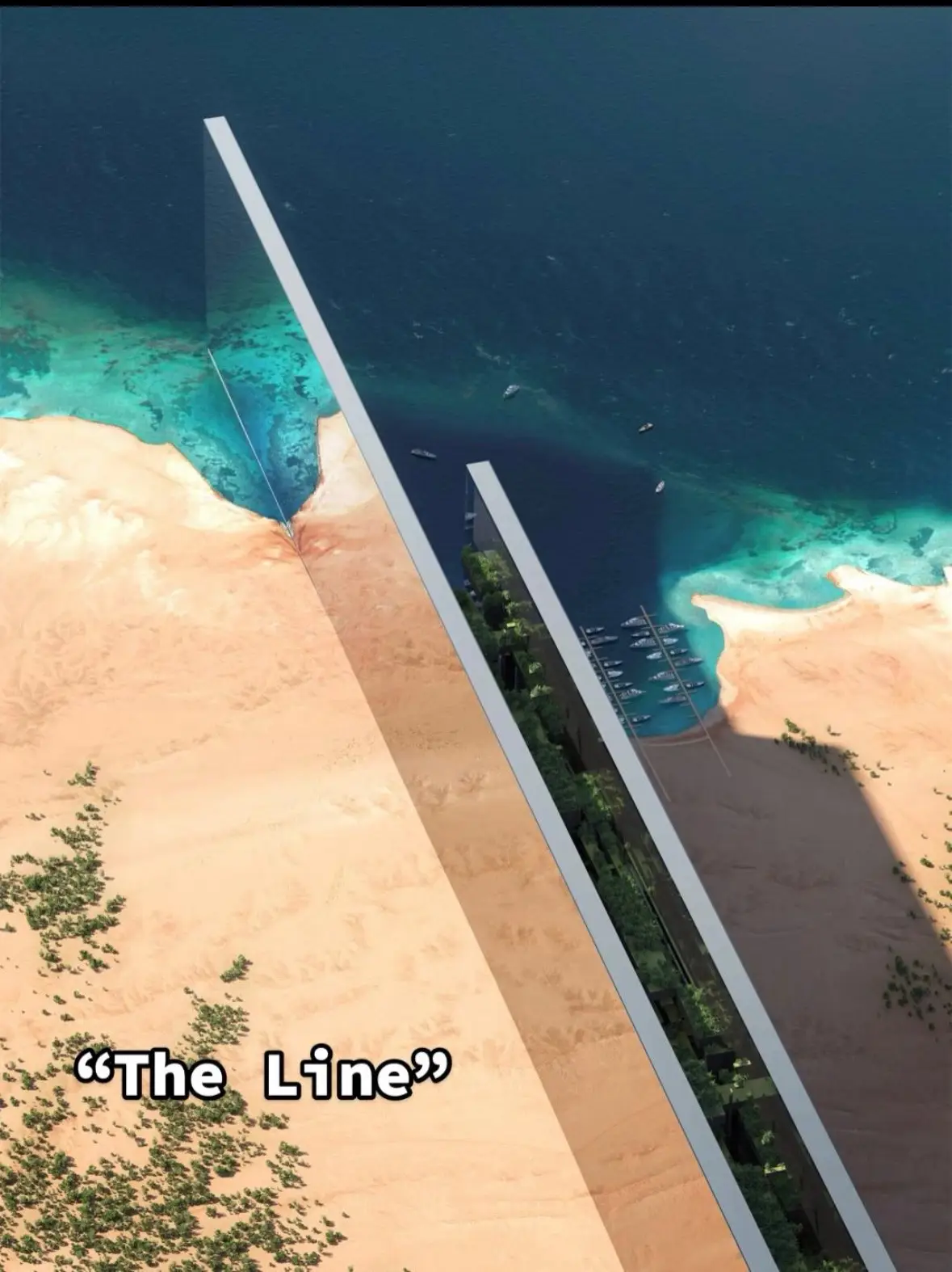 #theline #saudiarabia #futuristic #architecture #engineering #design #desert #modern #impossiblearchitecture #architecore #luxury #estate #modernism