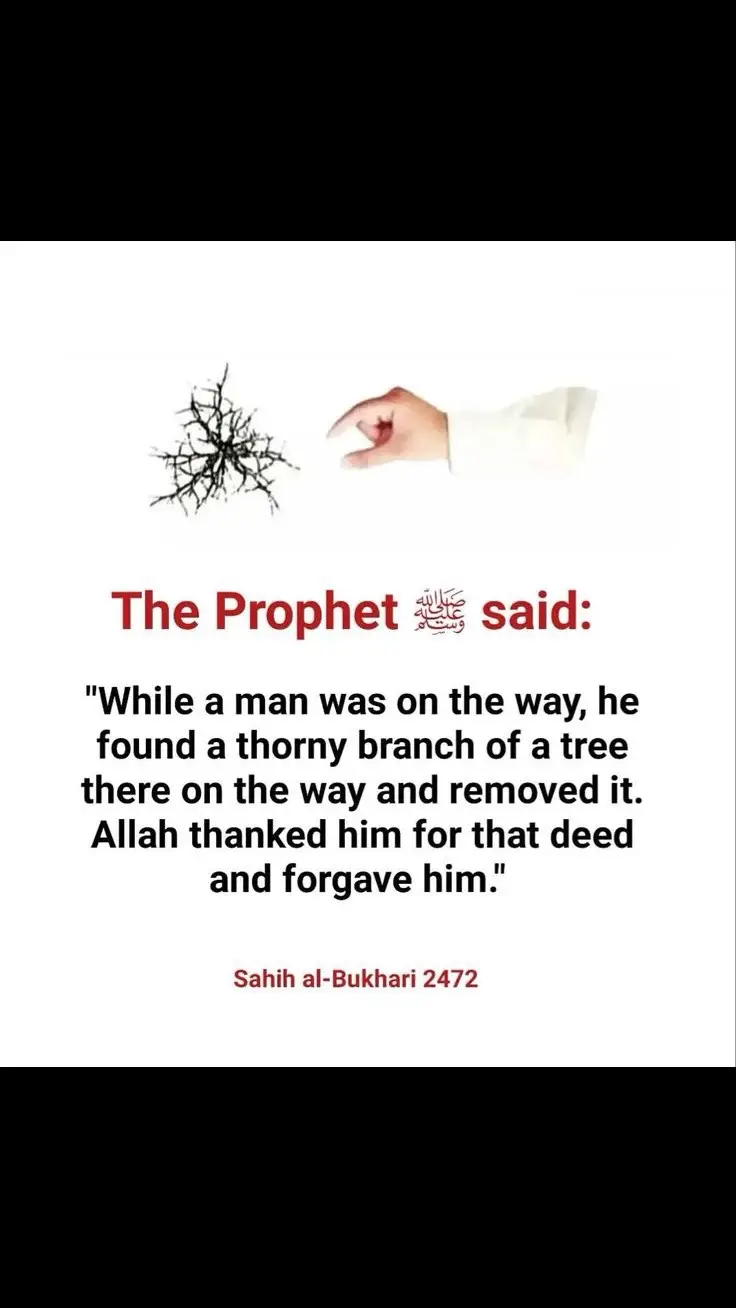 #muslimtiktok 