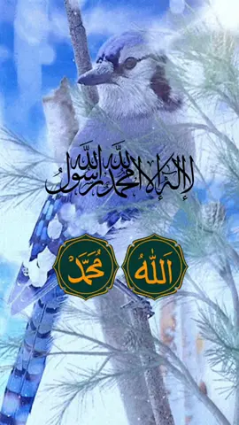 #foryou #foryoupage 
