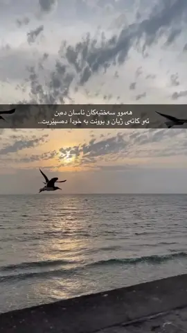 #wta #wtay_jwan #وتە #وتەی_جوان 