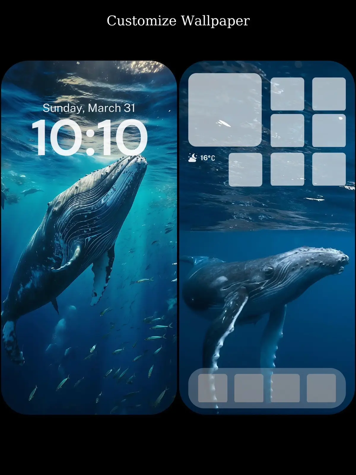 #wallpaper #hinhnen #iphone #dienthoai #phukien #oplungdienthoai #xuhuong #whale 