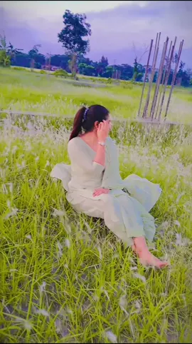 কাশফুল গুলো🥰🙂#foryou #fypシ #foryourpage #viralvideo #bdtiktokofficial #foryouhouse #foryoutiktok #tiktokbangladesh #fyppppppppppppppppppppppppppppppppppp 