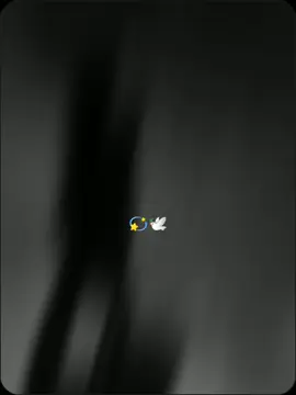 #CapCut 