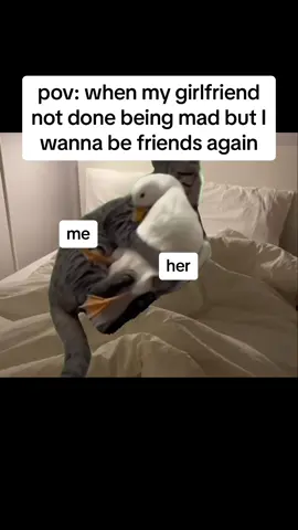 Relatable😂 | #Relationship #relationshipmemes #couple #boyfriend #girlfriend #lovequotes #fyp #Love #CapCut #cat 