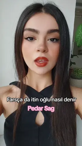 @Learn English with Nesly #farsça #farsdili #keşfet #küfür 