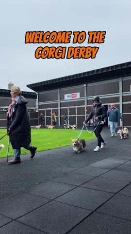 Welcome to the annual Corgi Derby at Musselburgh 😆👏🐶 Congratulations to Heather and the cute Beckett! A nice way to kick off the Sunday Series, Sunday evening racing with competitive fields and nice pots 🐎  #Raceday #SundaySeries #CorgiDerby 