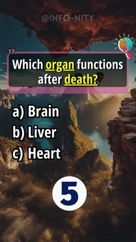 Anatomy Quiz for Americans - Comment how many did you get? #quiz #quiztime #anatomy #fyp #Viral #makeitviral #usa_tiktok 