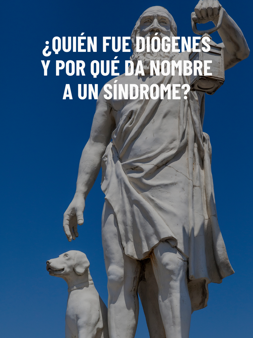 ¿Quién fue Diógenes y por que da nombre a un síndrome? #AprendeEnTikTok #AprendeConTikTok #datoscuriosos #curiosidadestiktok #diogenes