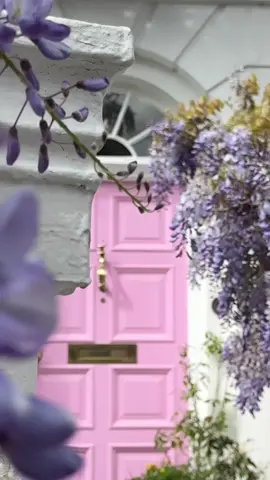 #wisteria #london #photography #PlacesToVisit 