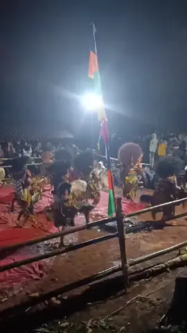 turonggo seto