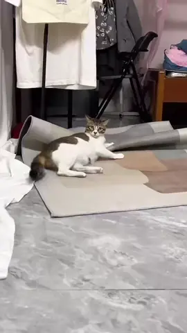 😂