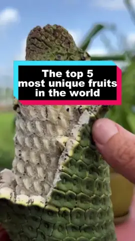 The top 5 most unique fruits in the world #top5 #unique #fruit #food #fyp 