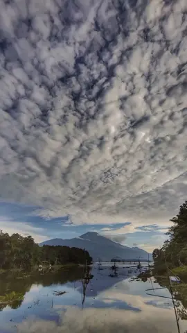 sayangnya impian tak seindah kenyata,an 🥹🥹