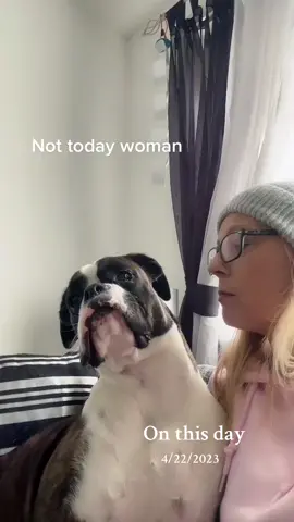 #onthisday only when she wants them 🤷‍♀️🐾🥰#boxerdog #PetsOfTikTok #boxer #boxerdogs #dogsofttiktok #boxerdogsoftiktok #fyp 