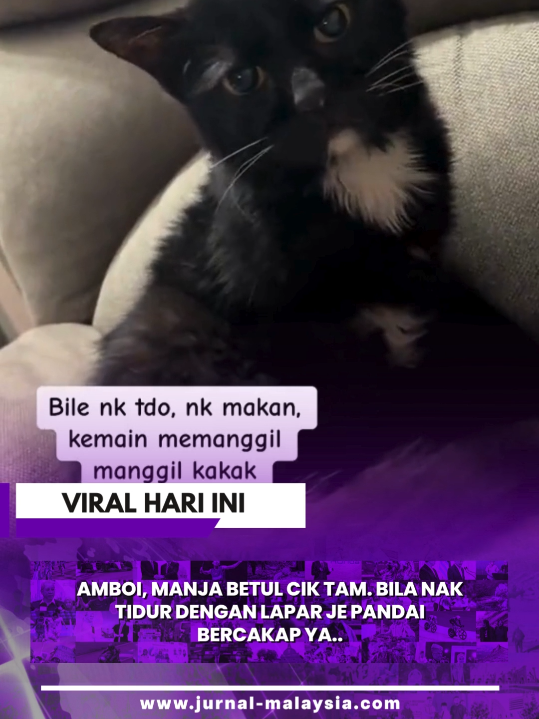 Soft spoken betul dia. 😻😹🐈‍⬛ #jurnal #jurnalmalaysia #news #current #1st #no1 #celebrity #personality #leader #star #idol #icon #local #global #video #viral #trending #fyp #4u #kucing #ciktam #kucingbolehbercakap #kucingcomel •  p/s : minta halalkan video yang kami ambil ya.  •  📹 Kredit : farahfadz Untuk kredit atau apa-apa berkenaan video, sila DM min dulu ya.