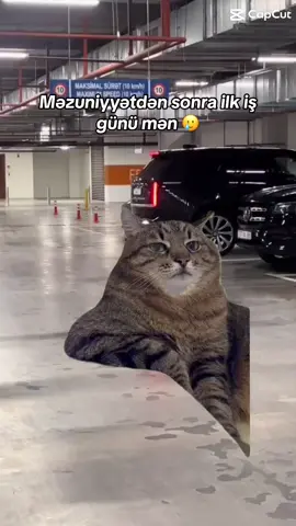 😂 #keşfet #fyp #kesfet #fypシ #capcut #tiktok 