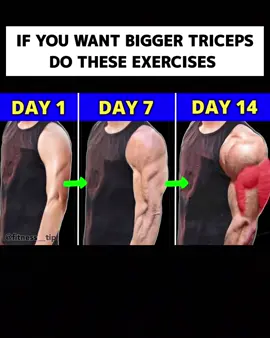 Perfect triceps workout #armworkout #tricepsworkout #bodybuilding 