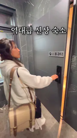 지금 놓치면 후회할 제주 신상 숙소