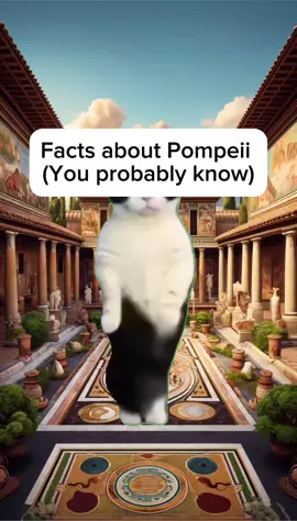Facts about Pompeii you probably know #fyp #history #historylovers #ancienthistory #historynerd #worldhistory 