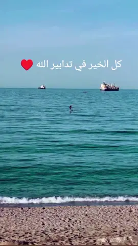 #capcut #foryou #explore #viral #الشعب_الصيني_ماله_حل😂😂 #تصميم_فيديوهات🎶🎤🎬 #فرنسا🇨🇵_بلجيكا🇧🇪_المانيا🇩🇪_اسبانيا🇪🇸 #canada #الجزائر🇩🇿_تونس🇹🇳_المغرب🇲🇦 