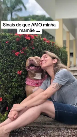 Muito amor ❤️ #fy#foryou#pitbull#viral#Love#viralvideo#amor#foryoupage#tiktok#fypシ#follow#trend#fyy 