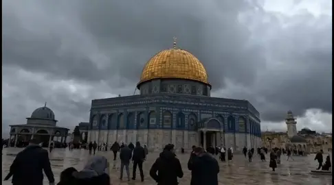 مسجد الاقصى الجميل  #مسجد_الاقصى_فلسطين🇵🇸🇵🇸🇵🇸#القدس_عاصمة_فلسطين_الأبدية  #تصميم_فيديوهات🎶🎤🎬 #فلسطيني🇵🇸وافتخر #fyp #viral #foryou