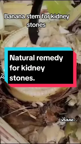 Banana stems for kidney 🥰#amakaadaigbo #kidney #kidneystone #foryou #fyp  #naturalremedies #pin #ffff 