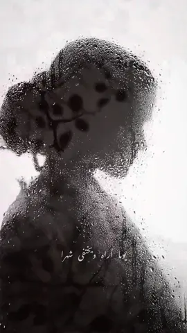 الله على سهراته الكبرى يوما أراه ويختفى شهرا عذرا يناقض سيدى عذرا من بيت صاحبة إلى أخرى فالشلة الأولى أعادته  لظلاله وضياعه الماضي كن منصفا يا سيدي القاضي  . . . #الله_على_سهراته_الكبرى   #كاظم_الساهر #اسماء_لمنور #المحكمة #كريم_العراقي #فتح_الله_احمد  #كاظم_الساهر_المحكمه #kadimalsahir #كاظم_الساهر_اسماء_لمنور_محكمة 