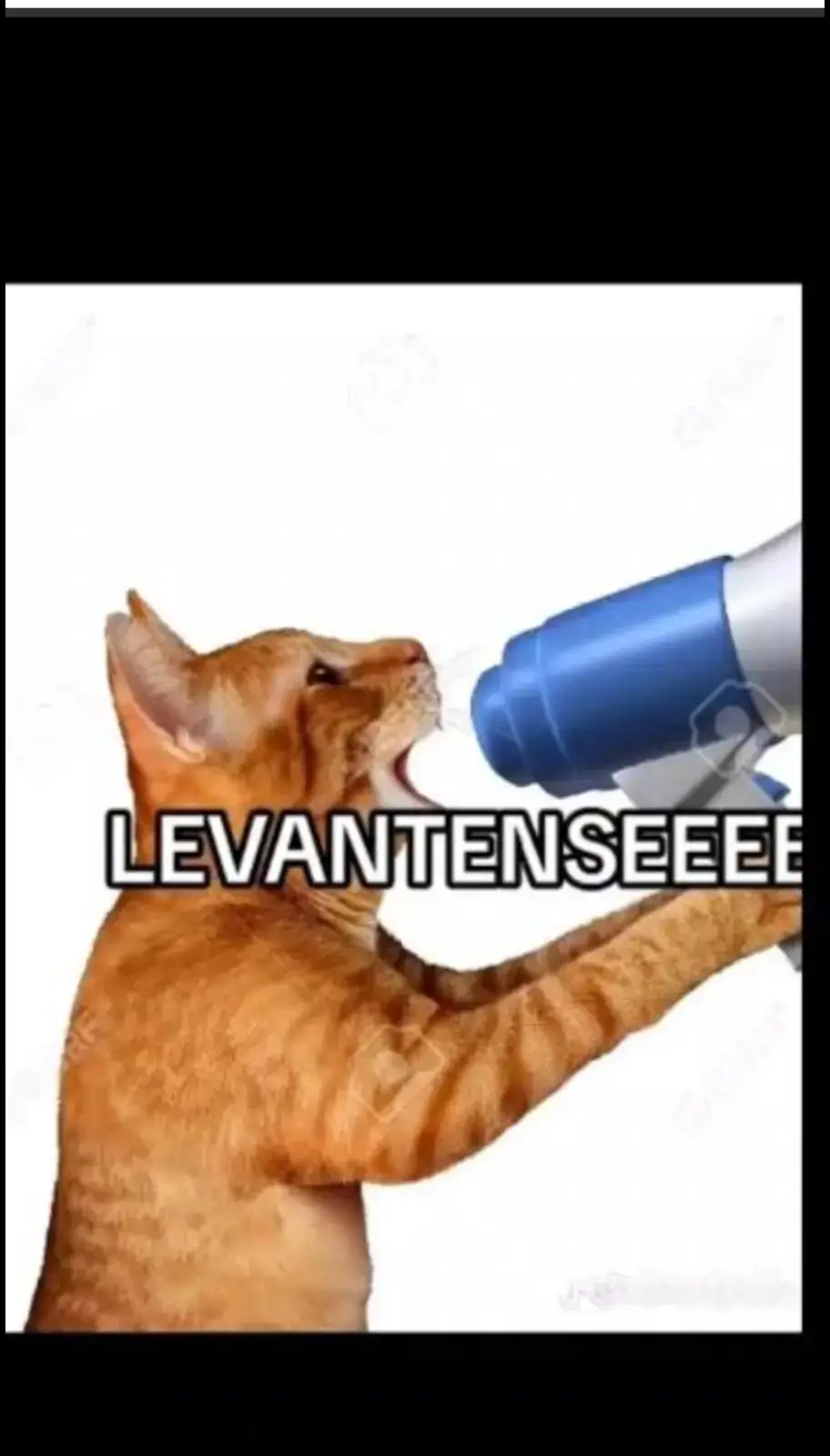 levantenseeeeeeeeeeeeeeeeeeeeeeeeeeeeeeee 😂😂😂😂