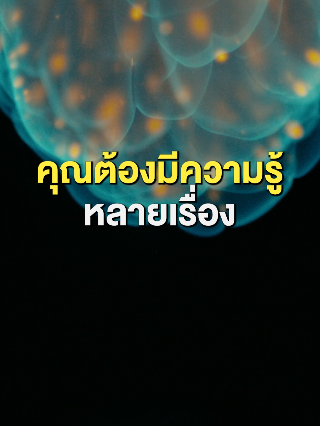 #ไม่ต้อง#กลัว#เจ๊ง#แม้#ทำธุรกิจคนเดียว#แค่#รู้#เรื่อง#นี้  #สมองไหล#สังคมคนสร้างธุรกิจจากศูนย์#TikTokUni