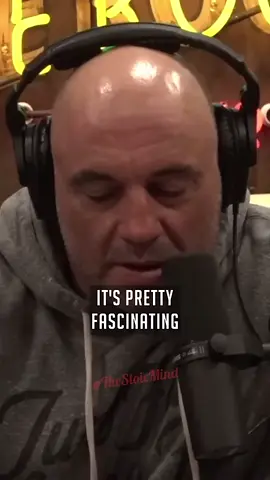 Hidden truth #vatican #joerogan #joeroganexperiencetiktok #joeroganexperience #joeroganclips #joeroganpodcast #duet 