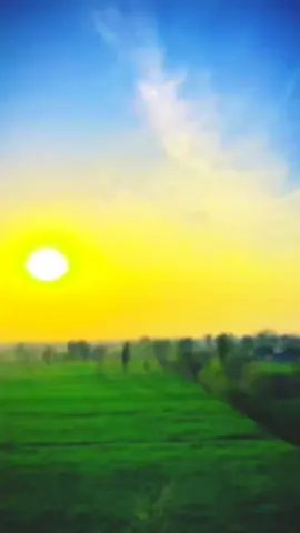 بھائی❤️🙂#foryou #foryoupage #urdushairy #punjabipoetry #kawishtamimi #dailystatus52🥀 #viral #500k #standwithkashmir #1millionaudition @TikTok for Business @مانی کھوکھر جیہ آلہ🥂🖤 @TALAGANG ALA 