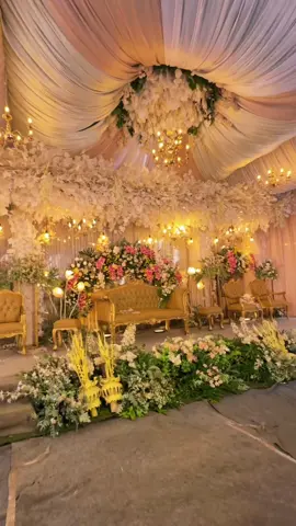 #CapCut  Paket Lengkap Tenda & Dekorasi Wedding Rumah #wedding #weddingtiktok #weddingday #dekorasi #dekorasipelaminan #jember #weddingorganizer #weddingvibes #weddingdecoration #weddingjember #weddingplanner #weddingphotographer #decoration #decorationjember #jemberwedding #tendawedding #weddingrumahan #tenda #fyp #fypシ #tendameningnyajember #tendajember #tendahits #tendahitsjember 