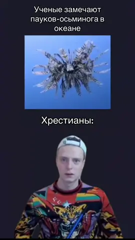 Объяснение: Они выглядят как ангелы, описанные в Библии много лет назад до этих существ #angel #christiantiktok #christian #bible #хрестианы #библия #ангел #fyp 