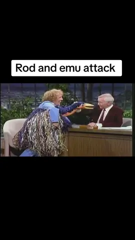rod and emu #rodhull #emu #rodandemu #attackinghost #birdattack #rod #comdey #itv #bbc #television #classic #oldschool #80 #80s #uk #usa #nostalgia #tiktok #today #viral #trending #fypp #fypage #fypシ゚viral #fyp #fy #fypage #chanel4 #4 #puppet #funny #90s #90 #90skids #90sthrowback #80skid 
