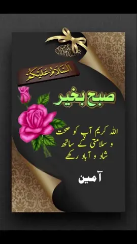 #viral #fyp #raheelaali5 