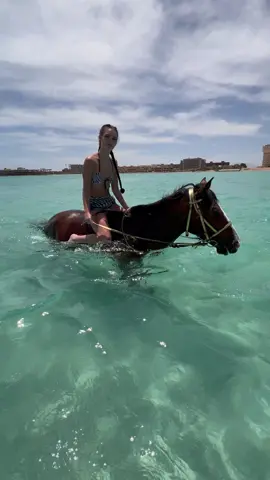 Unforgettable time 🏝️🐴 #horseswimming #horseridinginhurghada #equestrianlife #beachriding #horseridingholidays #horseriding #hurghada #hurghada_الغردقه 
