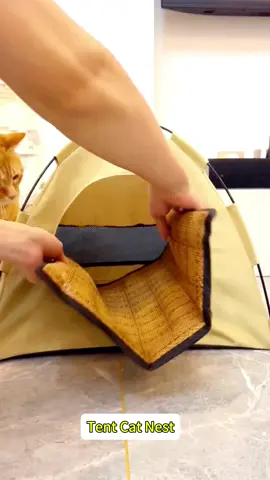 Buy it quickly. The tent cat nest is very popular with cats.#cattenthouse #catnest #pettent #cutecat #catsoftiktok #cutekitty #meow #happycat #funnycat #fyp #funnyvideos 