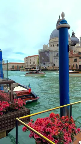 Venice, Italy 🇮🇹♥️  #venezia #venice #venedig #venecia #tiktokvenezia  