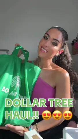 Found so many amazing name brands, new makeup from @LA COLORS Cosmetics at @Dollar Tree so of course had to share a haul with my dolliess✨ #dollartreehaul #dollartreefinds #dollartreetok #dollartree #dollartreemakeup 