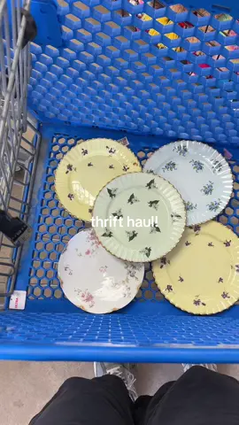 they definitely need some tlc, but that’s ok!! 🧼🫧 #weddingdecor #dayinthelife #thrifted #goodwillfinds #goodwill #tableware #vintageplates #thrifting #dinnerparty 