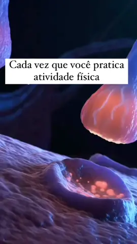 reações química no cérebro  #serotonin #cérebro #exercicios 