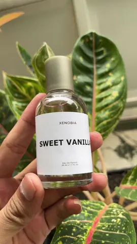 Dapat 3 botol parfum, wangi mantab. Cek keranjang kuning #parfumcowok #parfumviral #parfummurah 