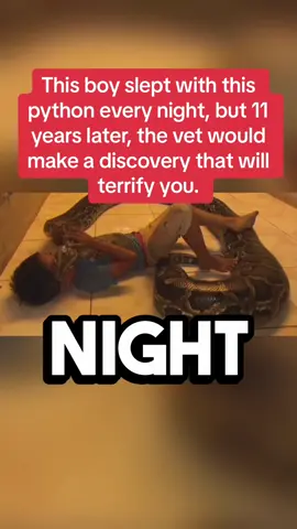 This boy slept with this python every night, but 11 years later, the vet would make a discovery that will terrify you. #usa #uk #LearnOnTikTok #truestory