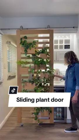 Sliding privacy plant door should be the new type of sliding door…. Just saying! #slidingdoor #plantdoor #slidingplantdoor #diyslidingdoor #diydoor #plantwall #DIY #diyproject 