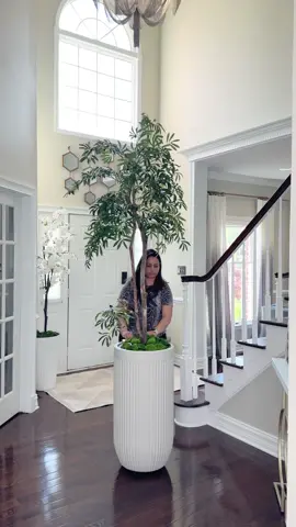 Designer looks dor less alert! This viral fluted planter is back in stock, absolutely beautiful! Comes in more sizes and black color too! #decor #HomeDecor #homefinds #interiorstyling #hometips #designerlooksforless #tipsandtricks #ltkhome #amazonfinds #amazonhome #musthave 