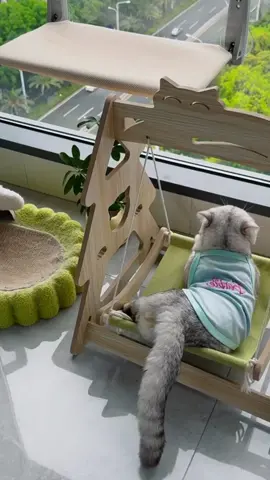 Solid Wood Cat Hammock Double Layer Shaker Cat Nest 💼🏡You can go to my homepage link to buy:www.kzlaa.com——Cat Bed • • • #cat #cats #catsofinstagram #catlover #catlife #catlovers #cats_of_world #catinstagram #fyp #for #foryou #kzlaa #catvideos #catvilla #catinstagram #catbed #catroom 